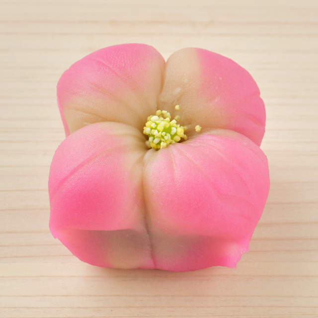 上生菓子　4月2023年　花水木