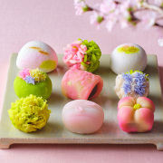 上生菓子 四季撰 京の春（9個入）【送料込】