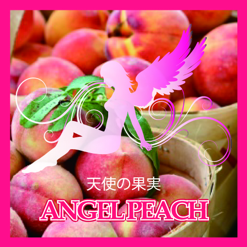 本桃色珊瑚 超特大原木 ガラスケース付 東Y8-0105☆2Fタサオ フィンカ