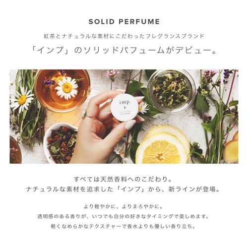 ESTEE LAUDER イントゥイション シップ ソリッド パフューム 練香水