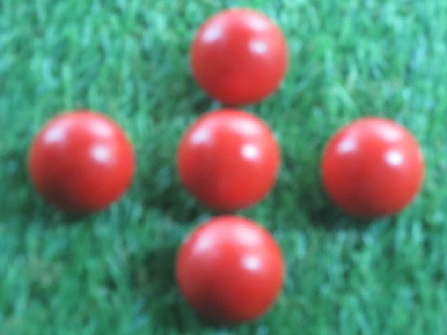 カラー木球25