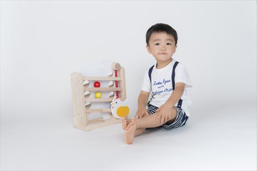ぶなの木 キンコンボール