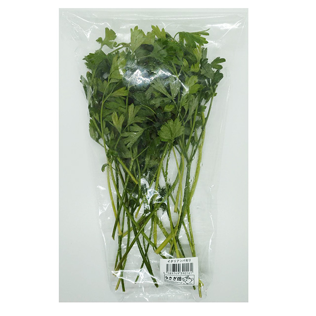 【店舗販売限定品】イタリアンパセリ 50g