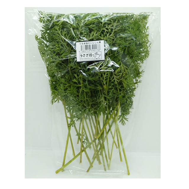 旬牧草 国産イタリアンライグラス 300g