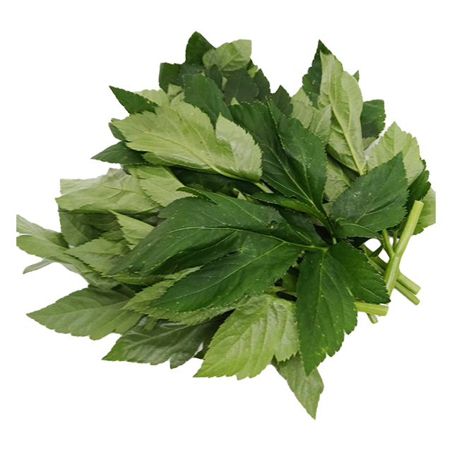 八丈島産 生あしたばの葉と茎　約100g
