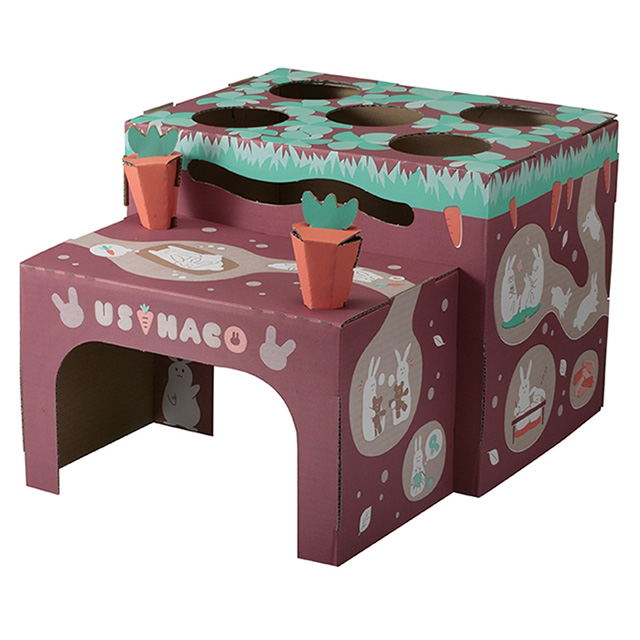 ウサハコ　にんじん畑