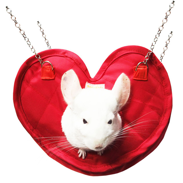 チンチラバスケット