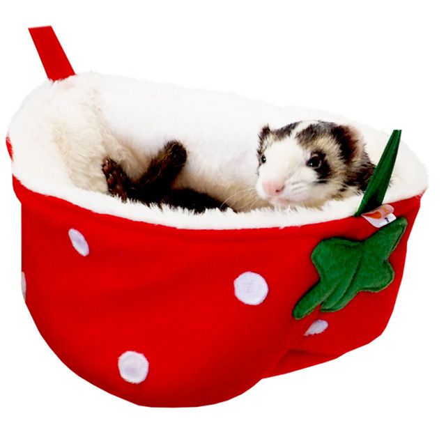 フェレットのいちごバケツ