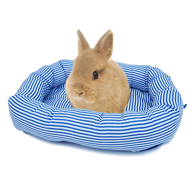 うさちゃんのハッピーベッドボーダー ブルー
