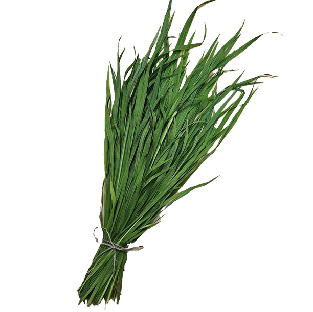 新鮮生牧草　緑葉（りょくよう） 80g