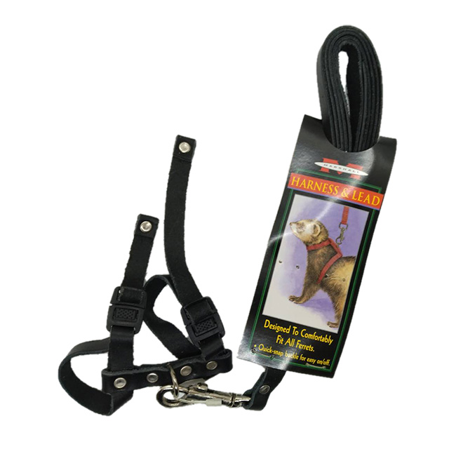 ハーネス＆リードセット/レザー　ブラック