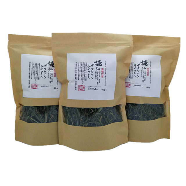 予約販売 イタリアンライグラスボール 50g フード・おやつ