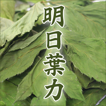 無農薬 乾燥あしたば（明日葉）