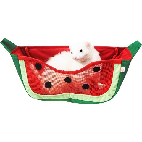 【新品】フェレット　トンネル　ハンモック Amazon.co.jp: トンネルハンモック(春・秋用フェレット