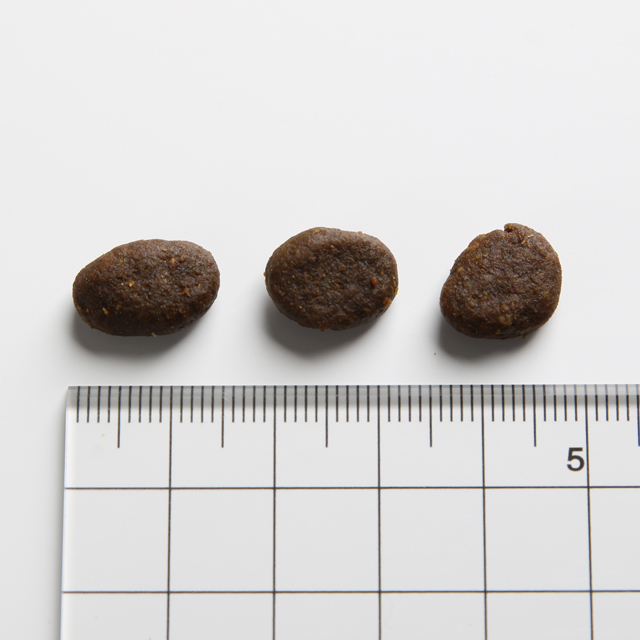 NEW オリジン キャット＆キティ