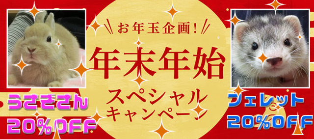 年末年始キャンペーン