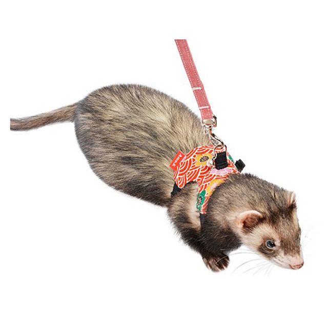 青海波梅 ハーネス