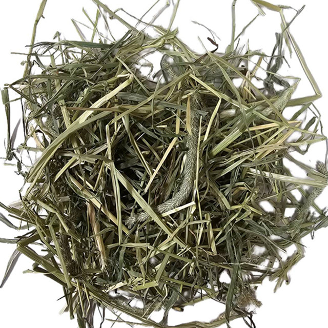 Super Premium チモシーヘイ 500g