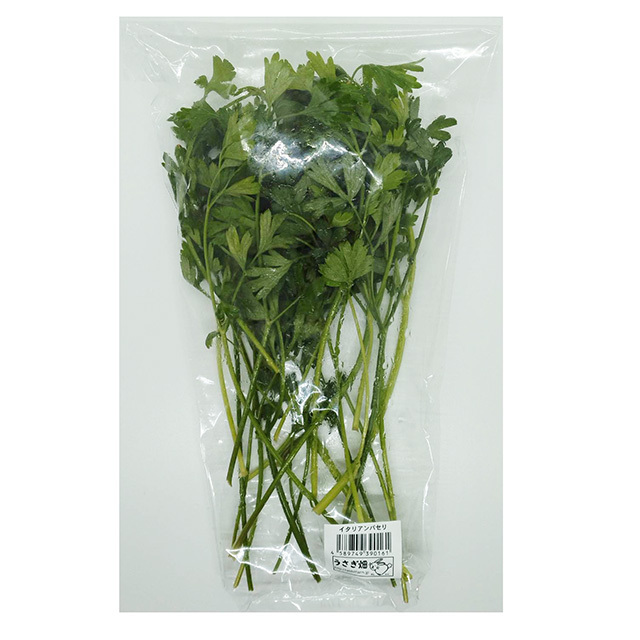 【店舗販売限定品】イタリアンパセリ 50g