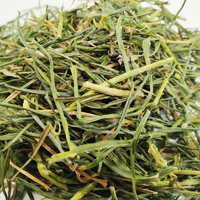極細イタリアンライグラス 40g