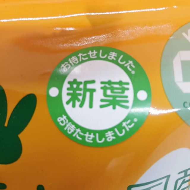 そのまんま天日干し パパイヤの葉