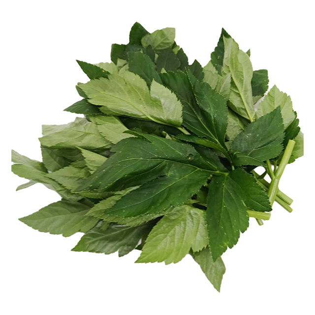 八丈島産 生あしたばの葉と茎　約100g