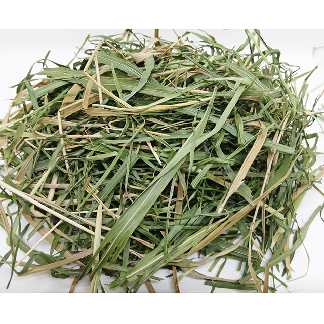 やわらか若草 うさぎの牧草 70g