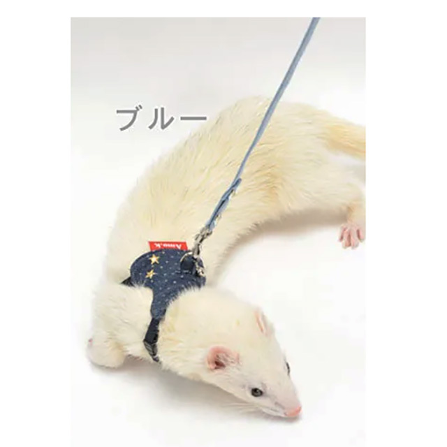 シャンブレー リード