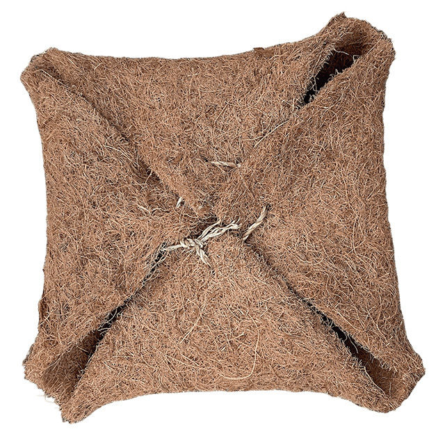 情熱ほりほり ココナッツランド