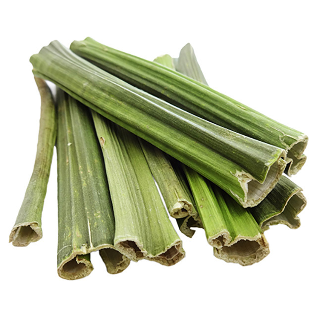 PRO スぺシャリッシュ　かじる青パパイヤの茎　25g