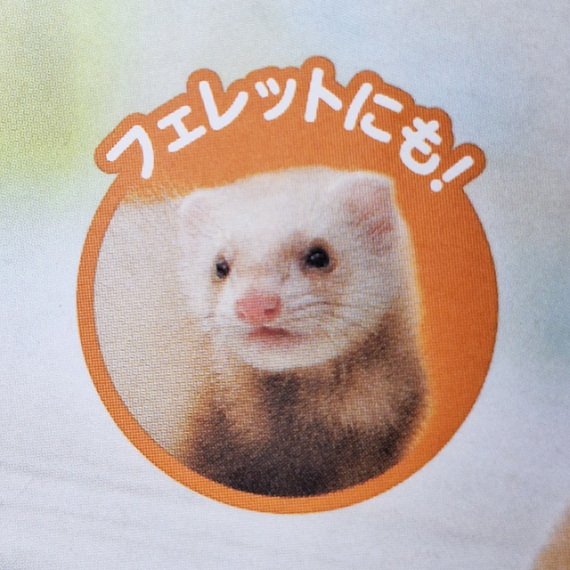 うさぎの安心オートフィーダー スマート カメラ付き