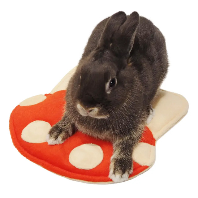 きのこのおふとん