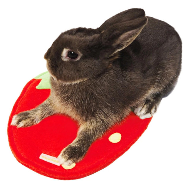 いちごのおふとん