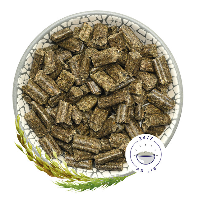 ラビットドリーム　ベーシック　4袋 うさぎのしっぽ通販は、『bunny ラビットドリーム ベーシック1.5