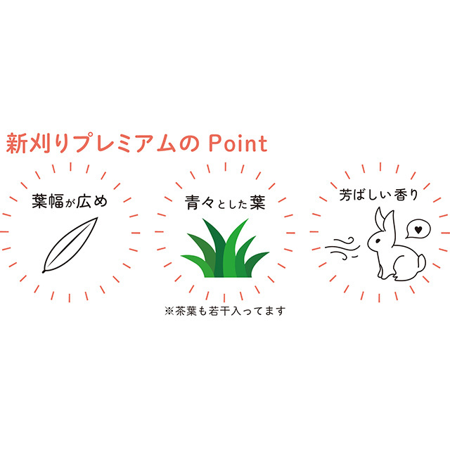 スモールペットセレクト プレミアムウルトラソフトチモシー 425g