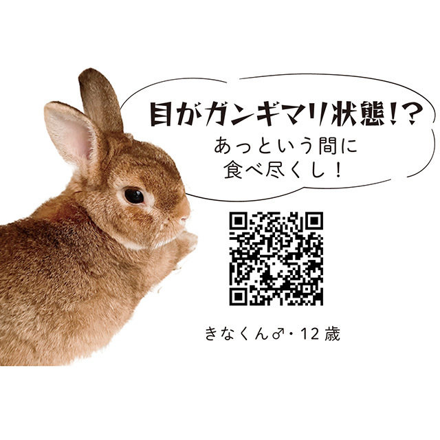 スモールペットセレクト プレミアムウルトラソフトチモシー 10g