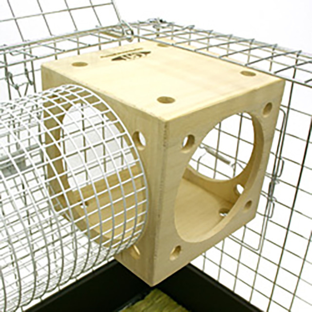 キューブハウス