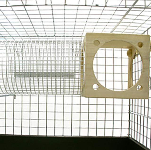 キューブハウス