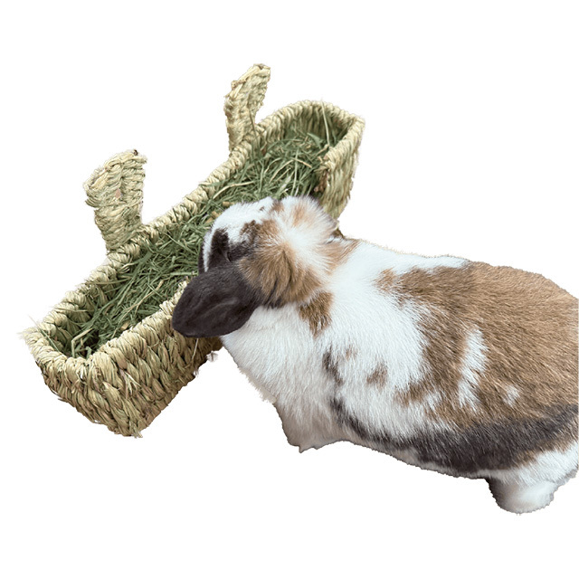 うさミミ かじり草牧草BOX ワイド