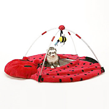 ベットバックプレーセンター