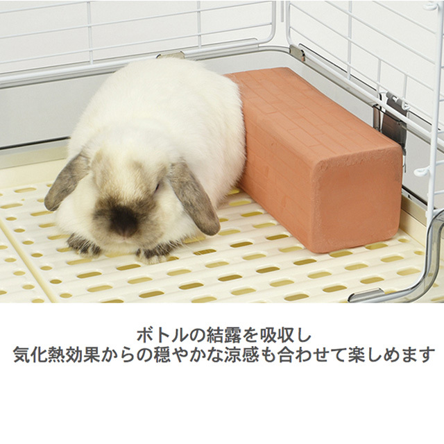 ひんやりテラコッタ