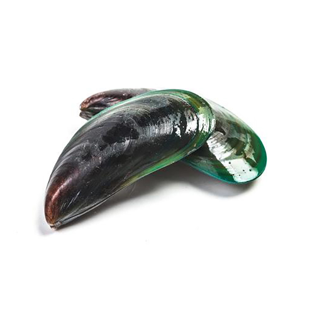 K9ナチュラル　ニュージーランド グリーン・マッスル パウダー（犬猫兼用）30ml