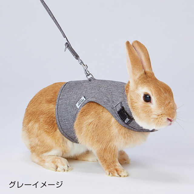 ラパンウォークハーネス うさぎ用