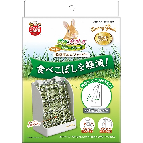 大量入荷！！】熱帯植物、観葉植物、ビカクシダ入荷