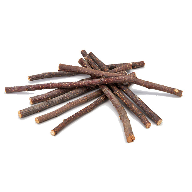 果実って小枝　りんご　MR-374