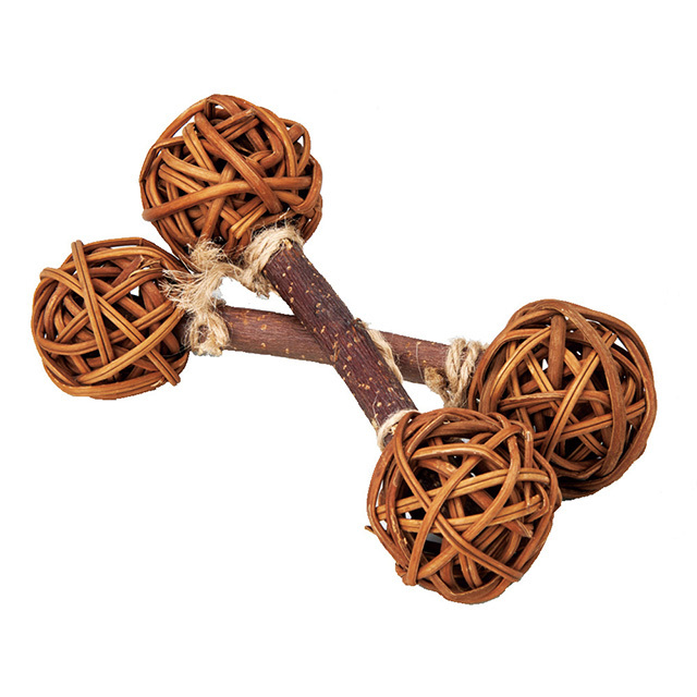 果実ってダンベル りんご　MR-376