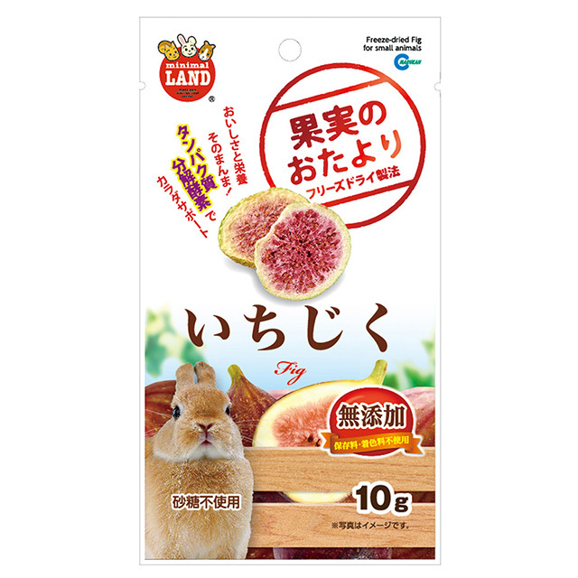 果実のおたより いちじく 10g　ML-143