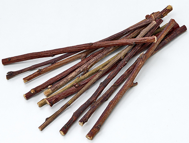 果実って小枝　スリムタイプ　りんご　ML-299