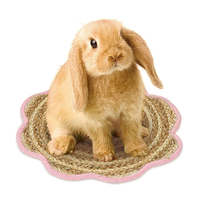 ラビットカーニバル フラワーマット