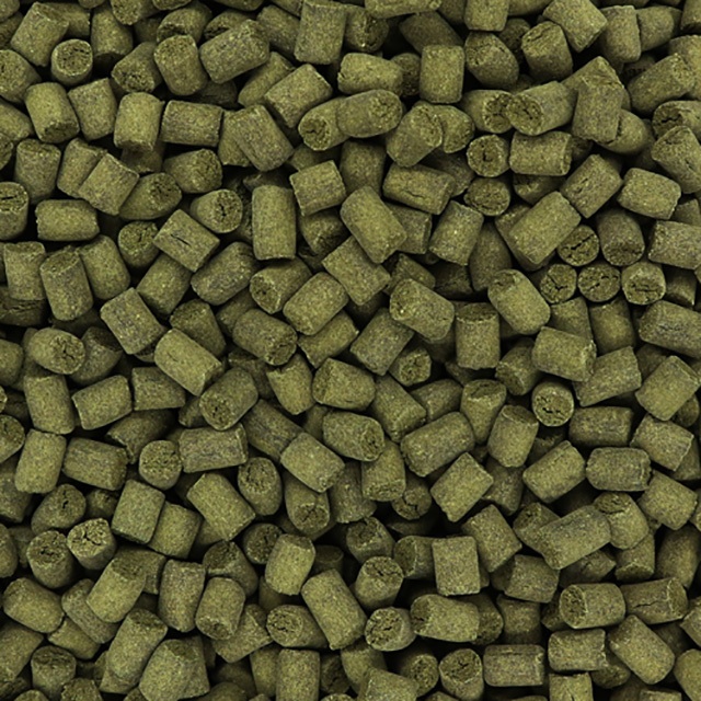 テイストプラス　パクチーのペレット　50g